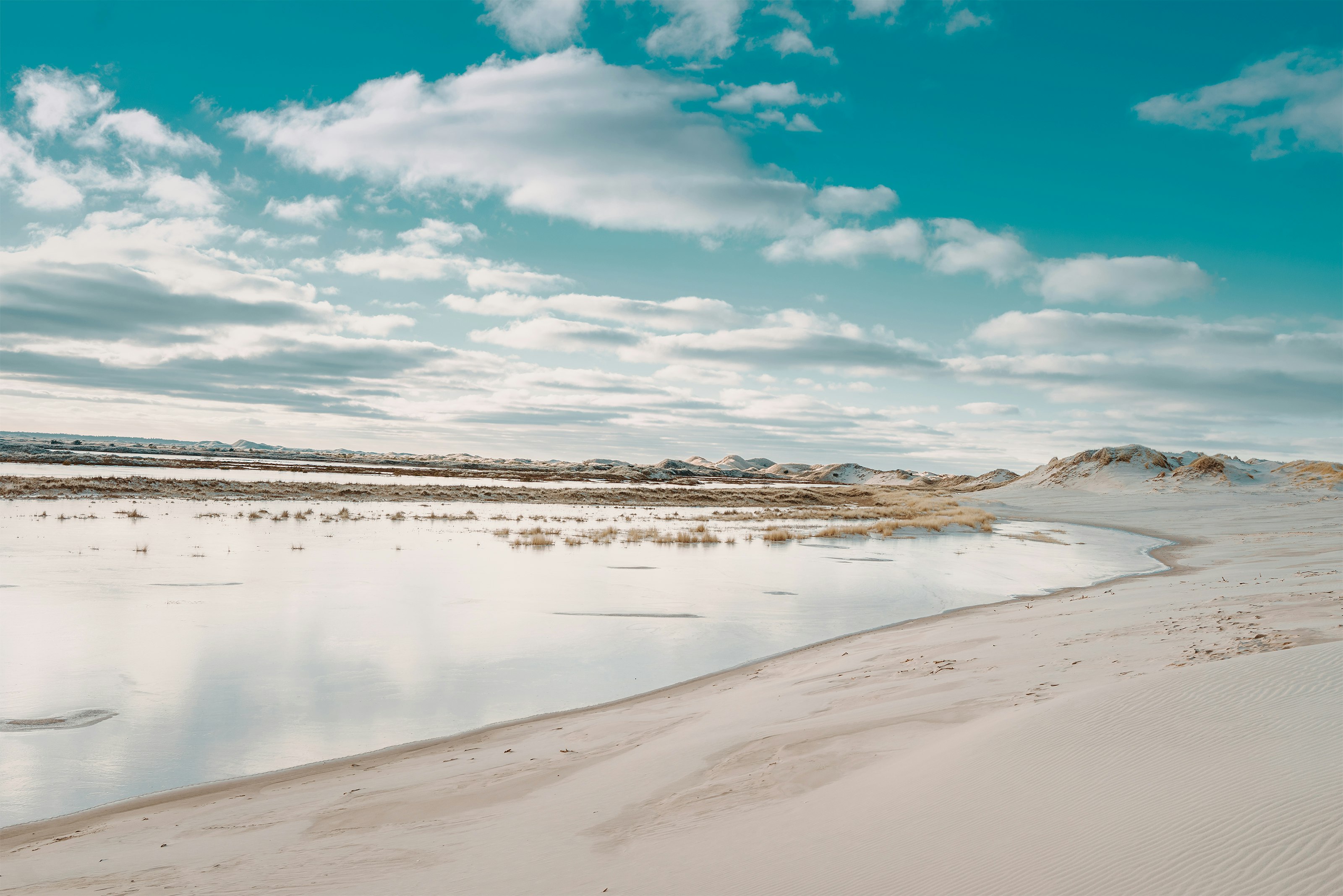 seashore during day time